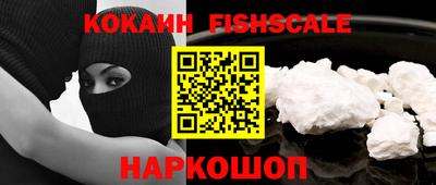 шишки Камышлов