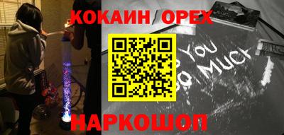 шишки Камышлов