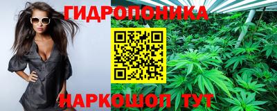 спиды Кандалакша