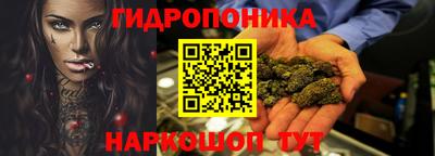 шишки Камышлов