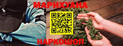 шишки Камышлов