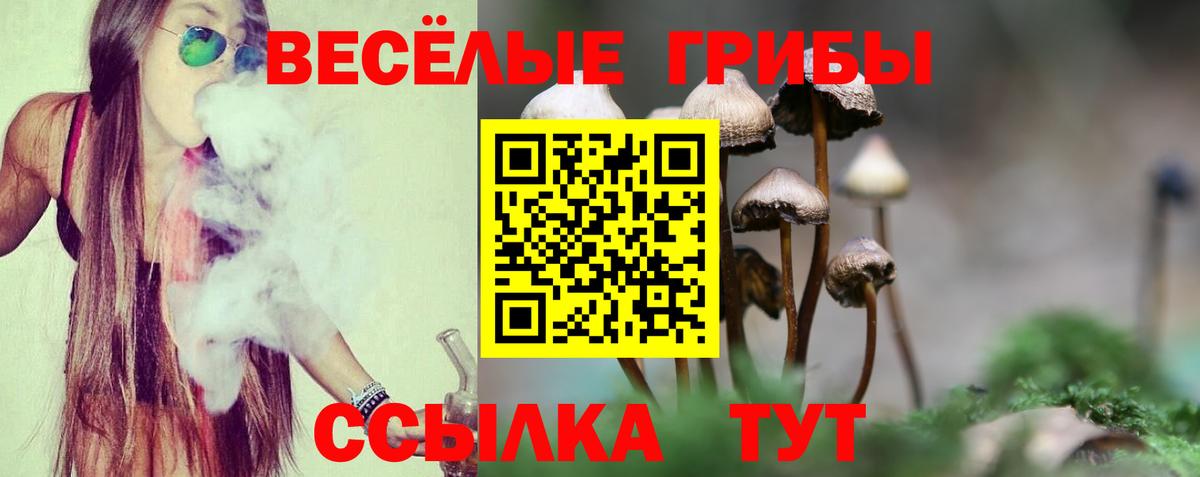 Красный Сулин  Галлюциногенные грибы MAGIC MUSHROOMS  Вход с VPN 